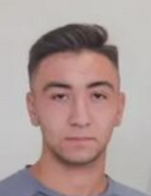 H. Gül