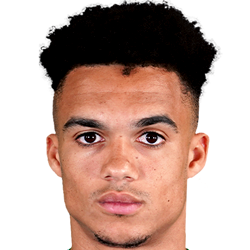 Antonee Robinson