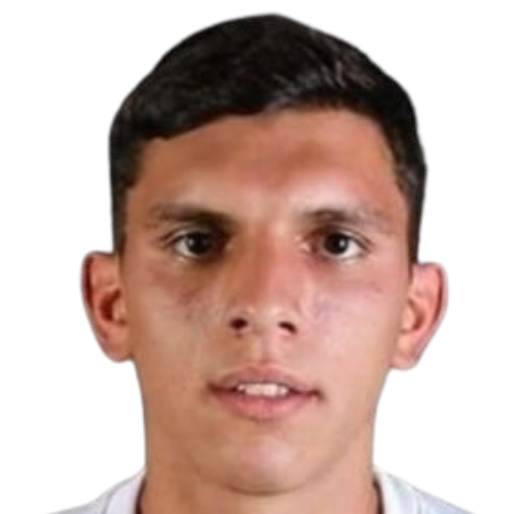 劳塔罗·卢斯尼格