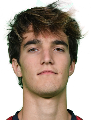 Leonardo Boriani