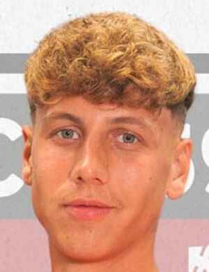 Raul Gherman profil resmi