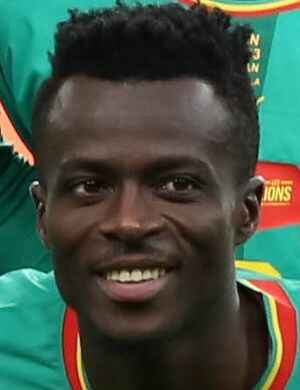 Tidiane Cheikh Sidibe profil resmi