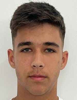 Mario Lupulescu profil resmi