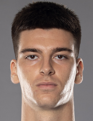 Amar Ibrisimovic
