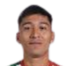 martin caballo