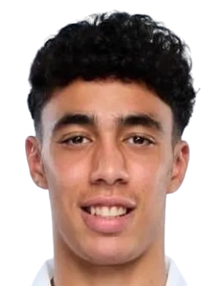 Suleiman El Haddadi Mohamed