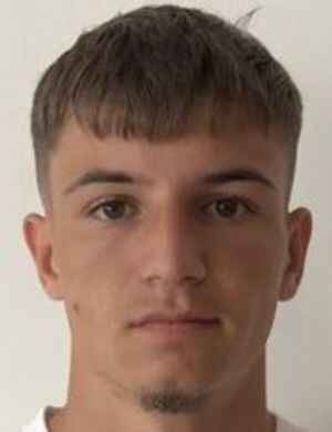 Ciniparu Alexandru profil resmi