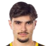 Nikola Mitrovic