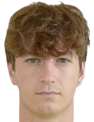 stepan pineau