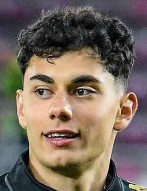 Adrain Briciu profil resmi