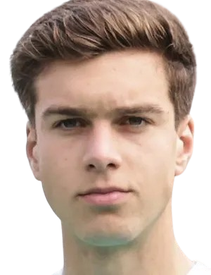 José Dinis Pinto Magalhães Rodrigues