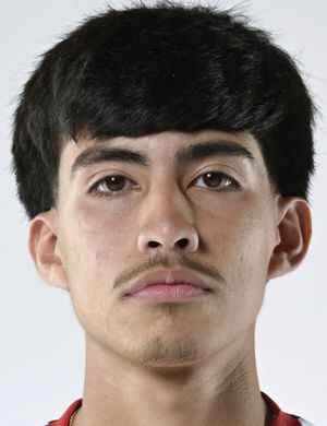 fernando guerrero