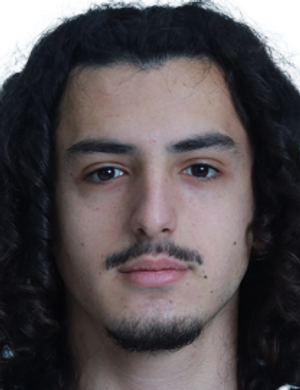Z. Sitchinava profil resmi