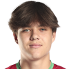 Nikita Karpenko profil resmi