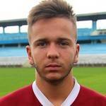 Andrei Ionut Cerlinca