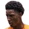 J. Gargonia profil resmi