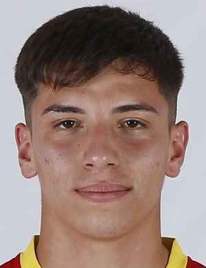 D. Robles profil resmi