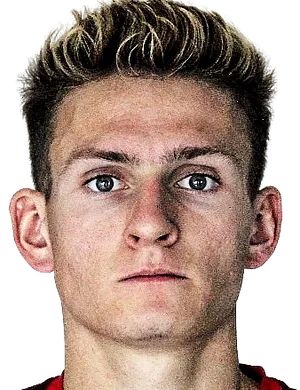 Roman Bolshunov photo