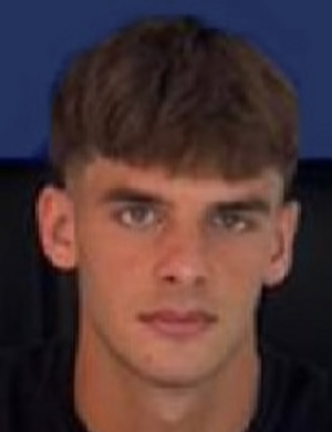 Andrea Pavanello profil resmi