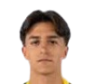 Tiago Olmedo Vila