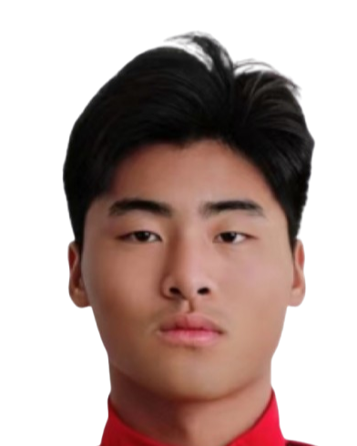 Wang Huajin