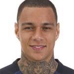 Gregory van der Wiel