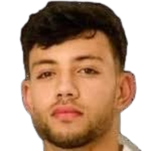 Najeh ferjani