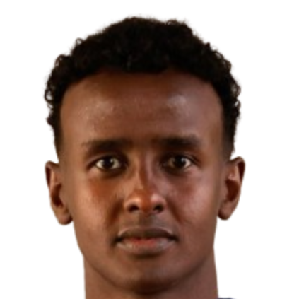 Hassan Mohamed Yousef
