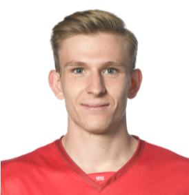 นิลส์ ฟอน นีเดอร์เฮาเซิน