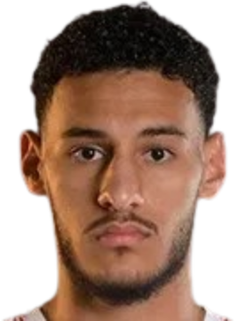 naceur mohammad mannai al