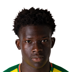 Vladimir Henrique Silva