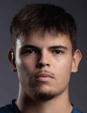 Dusan Vukelic profil resmi