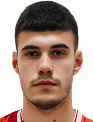 S. Paunovic profil resmi