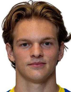Valentin Metgenberg profil resmi