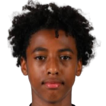 D. Ouziad profil resmi