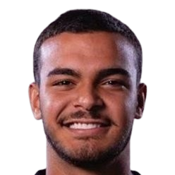 A. P. d. Freitas profil resmi