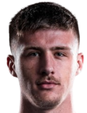 Haris Berbic