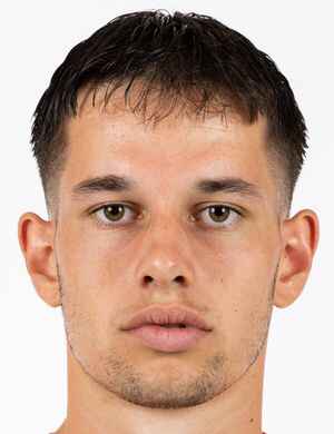 Dominik Pestic profil resmi