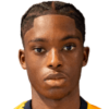 Brian Nelson profil resmi