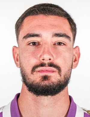 Salih Husic profil resmi