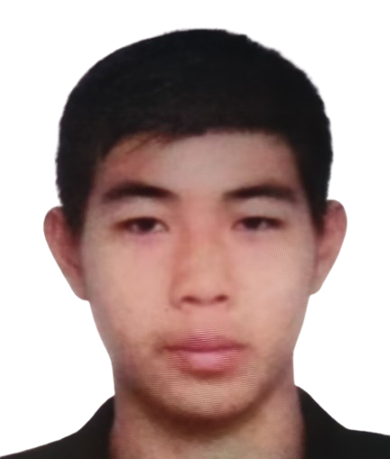 Bin Jiacheng