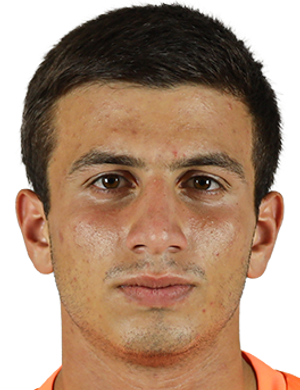 hayk stepanyan