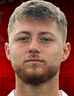 Mircea Manole profil resmi