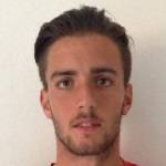 尼古拉·巴托利