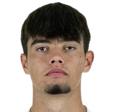 mirza catovic