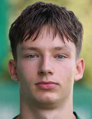 K. Simic profil resmi