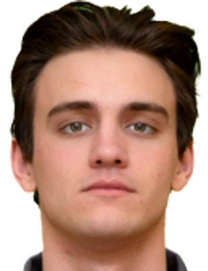 Nikita poberezhnyi
