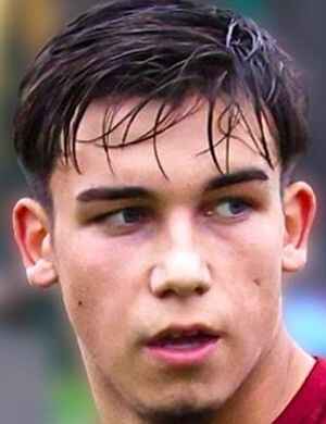 C. Matei profil resmi