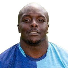 Adebayo Akinfenwa