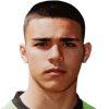 Pilo profil resmi